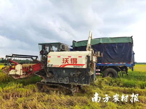 廣東各方協(xié)同行動(dòng)，農(nóng)機(jī)服務(wù)筑牢農(nóng)業(yè)基本盤以應(yīng)對(duì)災(zāi)情挑戰(zhàn)